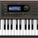 Roland JUNO-DS61 61-note Synthesizer (JUNODS61)