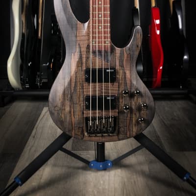 ESP LTD B-204SM Bass Guitar - See Thru Black Satin image 2