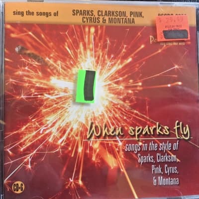 POCKET SONGS KARAOKE WHEN SPARKS FLY/NEW IN POUCH/FREE SHIPPING!!! image 1