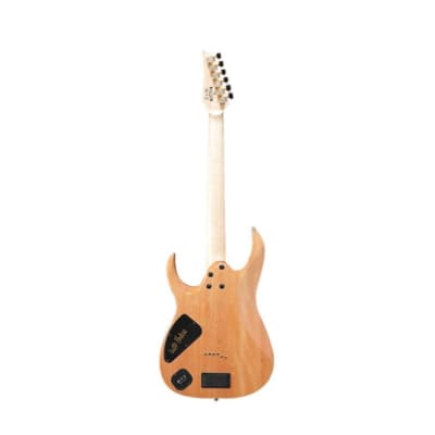 Ibanez Luke Hoskin Signature 6-String Electric Guitar (Right-Hand, Transparent Green Gradation) image 4