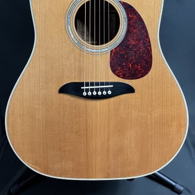 Alvarez Yairi DY50N Slope Shoulder Dreadnought Acoustic Guitar Gloss Natural w/ Case image 2