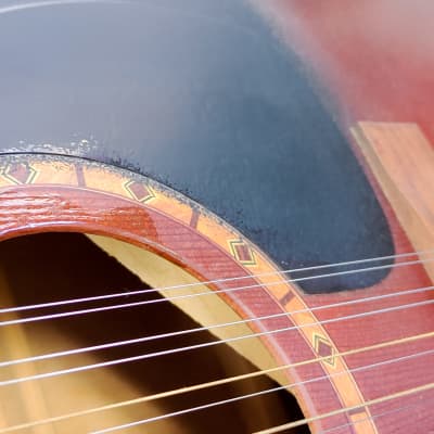 Art & Lutherie 12-String Cedar Antique Burst Acoustic Guitar w/ Hard Case image 22