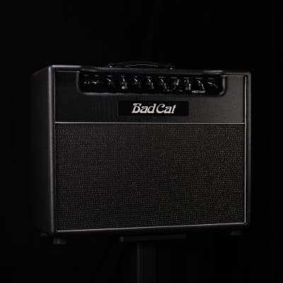 Bad Cat Hot Cat 1x12 Combo 45W 2-Channel Tube Amplifier image 2