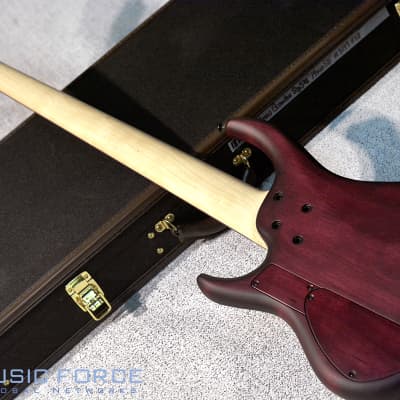 MTD US Custom Bass Andrew Gouche Signature 5 String-Hand Rubbed Plum Sunburst image 8
