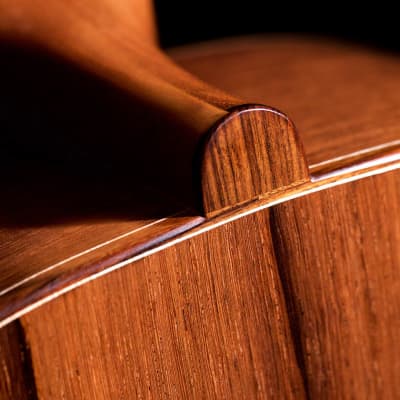 Carlos Juan Busquiel 2021 Classical Guitar Cedar/African Rosewood image 7
