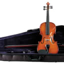 Palatino VN-450 3/4-Size Allegro Violin Outfit