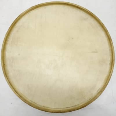 Ludwig 14"Resonant Calf Skin Snare Side Drum Head Vintage 40s USA Early American imagen 4