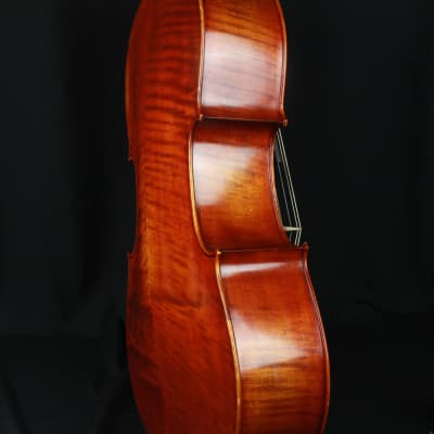 The Luthier Shop Adjusted 4/4 Size Beautiful Cello w/ Fiberglass Blue Case image 3