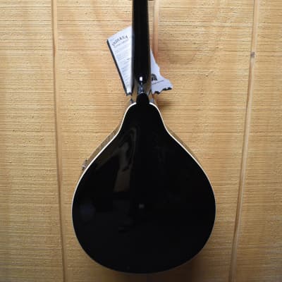 Indiana Mandolin 2000's - Sunburst image 8