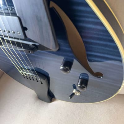 Sadowsky LS15 LS-15 Archtop Hollowbody Electric Guitar Custom Color Trans Black image 2