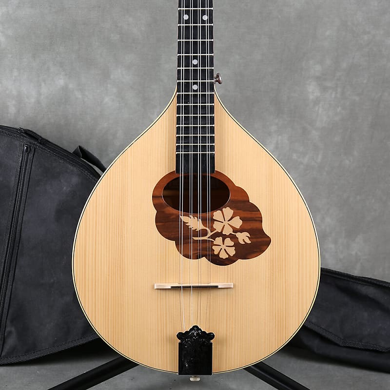 Blue Moon Irish Bouzouki Gig Bag 2nd Hand Reverb