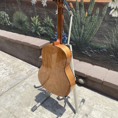 Ortega Student Series RST5 Acoustic Guitar image 7