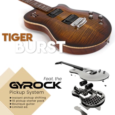 Wild Custom Guitars GYROCK #004 Tiger Burst for sale