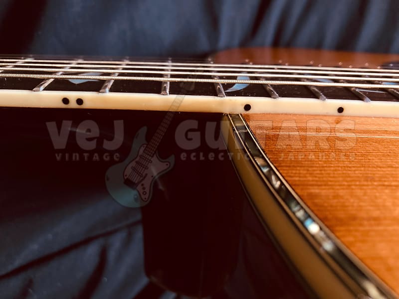 JAGARD (by TERADA) 'TREE OF LIFE' LUXURY DREADNOUGHT MIJ