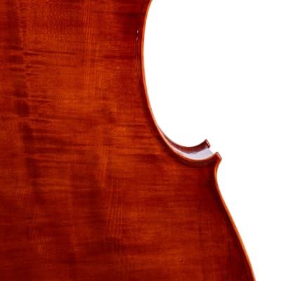 Gasparo Da Salo Doublebass 3/4 Hand-Made in Romania 2024 #5 image 8