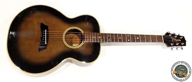 Takamine アコースティックギター pt 105 ビンテージ！名器！タカミネギター エレアコ PT-105