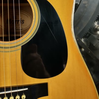 Morris W-15 Acoustic Guitar MIJ w/ Hard Case image 6