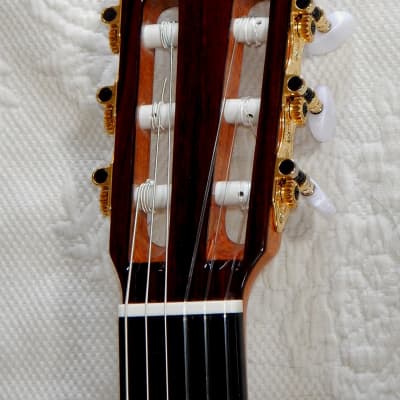 Esteve 7SR  640 short scale classical guitar/all solid wood/cedar top image 8