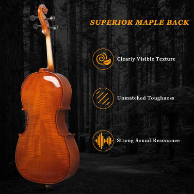 Glarry GC201 4/4 Solid Wood Spruce Panel Cello Varnish image 6
