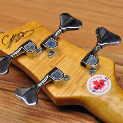 F Bass Fretless 4-30 image 16