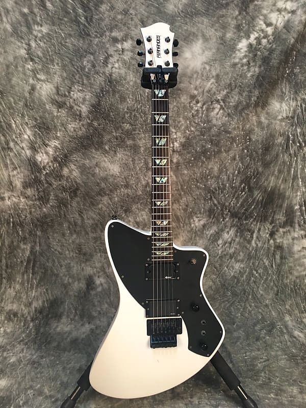 限定セット FERNANDES VERTIGO ELITE 06/DGM - 楽器/器材