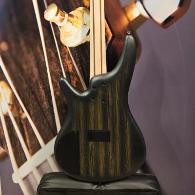 Ibanez SR300E-GVM SR-Serie E-Bass 4 String – Golden Veil Matte image 8