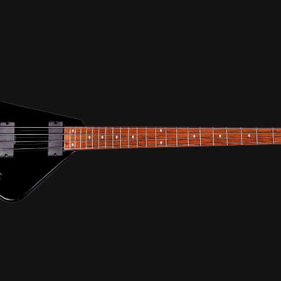 Riverhead Unicorn Bass Black (S/N:541694) [01/09] | Reverb Australia