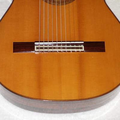 Super Rare 1977  Paulino Bernabe 1a 10-String Guitar Spruce/Brazilian, PB Stamp, w/Original Case image 12