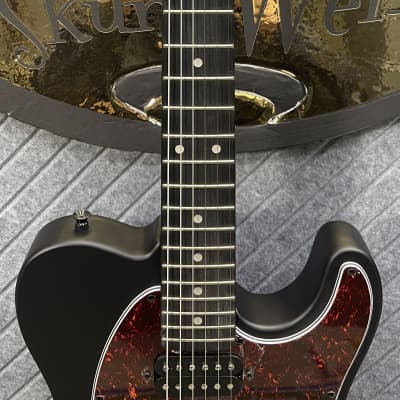 Harley Benton TE-20HH SBK Top Seller The Better Benton Includes In-USA Fret Dress and Setup! image 5