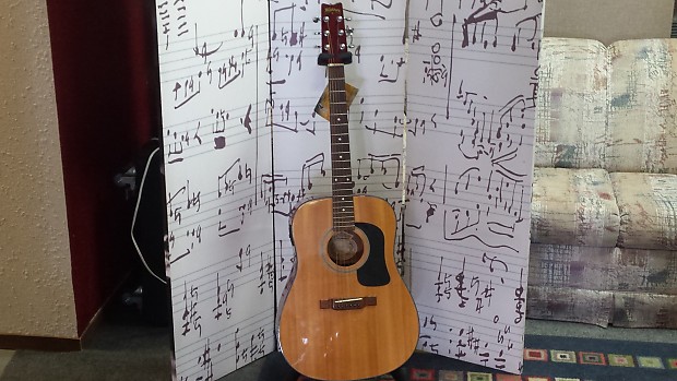 Washburn d10e shop