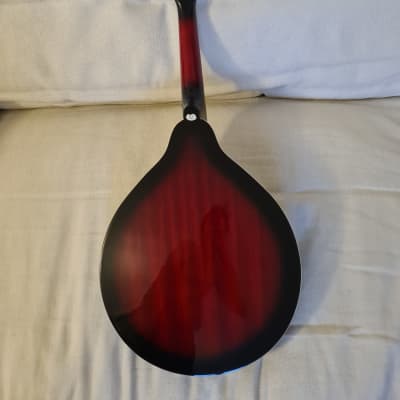 Stagg M50 E 2020 - Cherry burst image 6
