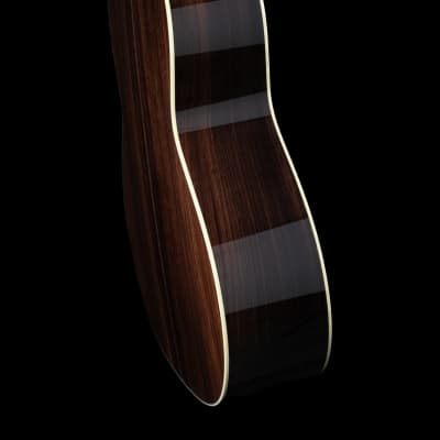 Collings C100 Deluxe G, German Spruce Top, Indian Rosewood - VIDEO image 8