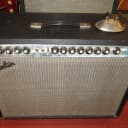 Vintage 1976 Fender Twin Reverb Amp Silverface