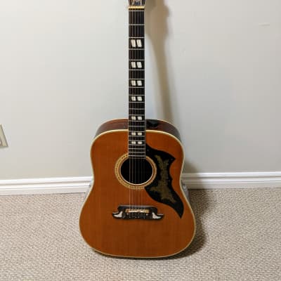 National WG73G (N720?) 1968-1970 Natural Acoustic Dove SJ200
