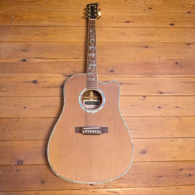 Indie Tree of Life ID-30CE - electro-acoustic 6 string for sale