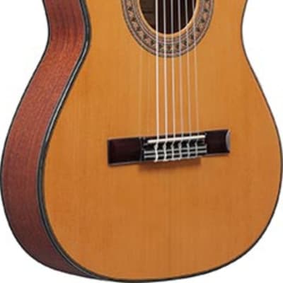 Ibanez GA5TCE3Q 3/4 Size Thinline Classical Acoustic-Electric Guitar, Amber image 7