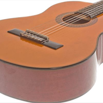 Washburn C40 Classical Spruce Top Wood Mahogany Neck Nylon 6-String Classical Acoustic Guitar image 4