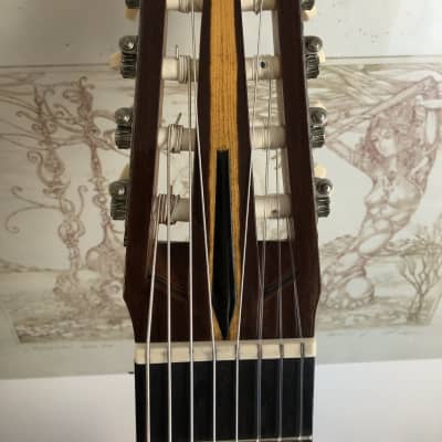 Stefano Moccetti  SP/IRW 8-string 1990 image 15
