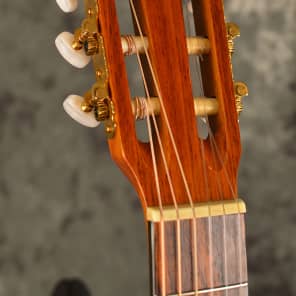 Takamine store eg 522