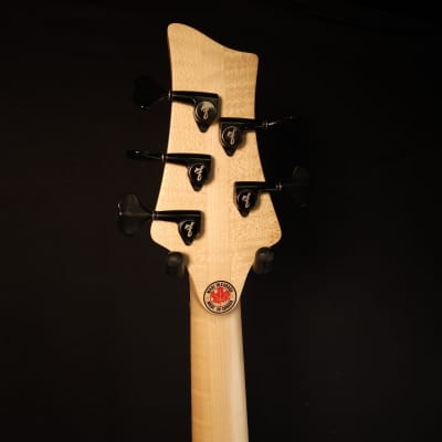 F Bass VF5-PJ Gloss Candy Plum, Ash Body 5 String Bass with Bag image 17