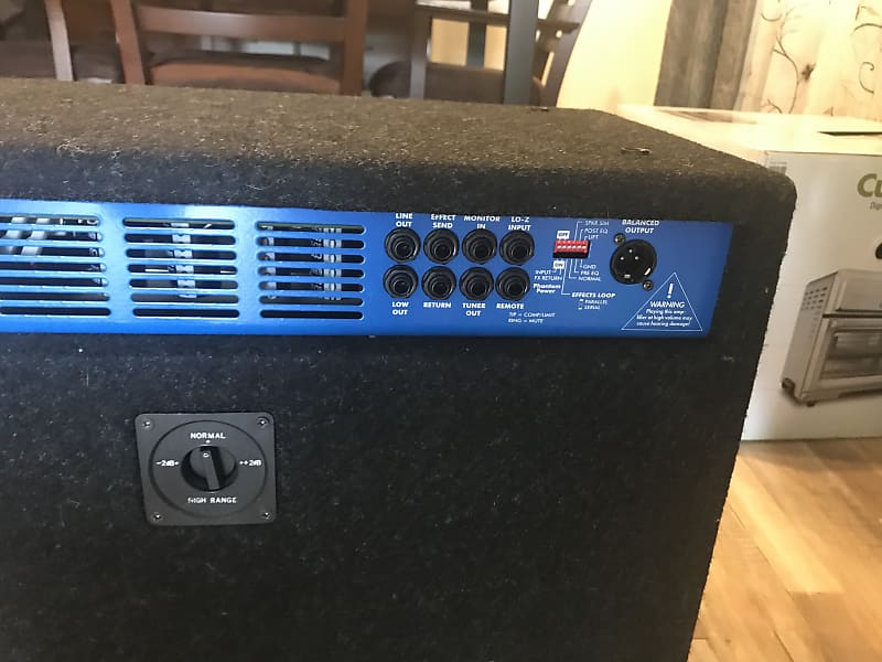 EBS GORM Professional Bass Combo 300W