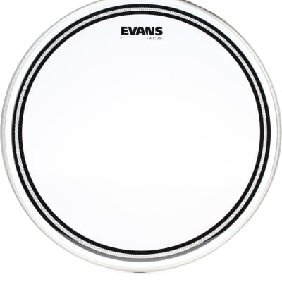 Vater Hickory Drumsticks 4-pack - Los Angeles 5A - Wood Tip  Bundle with Evans EC2 Clear Drumhead - 16 inch image 2