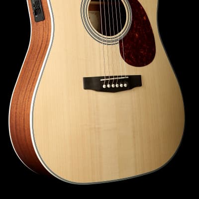 Cort SFX 6 String Acoustic Electric Guitar Rare Wood Ash Burl