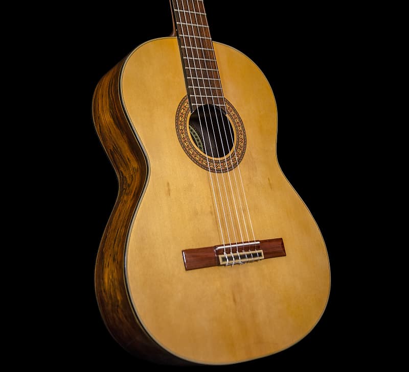 Di Giorgio Conservatorio No. 2 Classical Nylon String Guitar 1981 Made in  Brazil w/ Hard Case