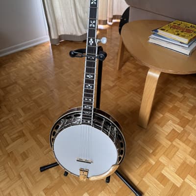 Recording King RK-R80 Professional Resonator Banjo