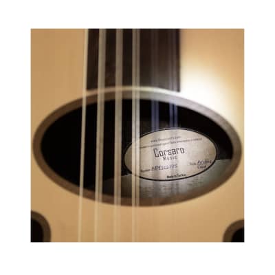 Corsaro Music™11 String Arabic Oud Gigbag String Set Plectrums - Ships from the US🇺🇸 image 6