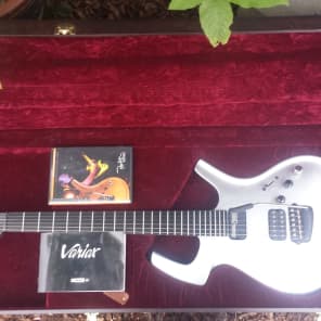Parker Adrian Belew Signature Fly (Not DF842)  Arctic Silver Guitar/ SUPER rare BEAUTY image 1