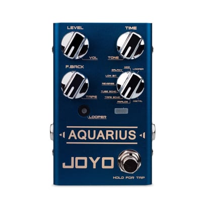Joyo R-Series R-07 Aquarius Delay Free Shipment for sale