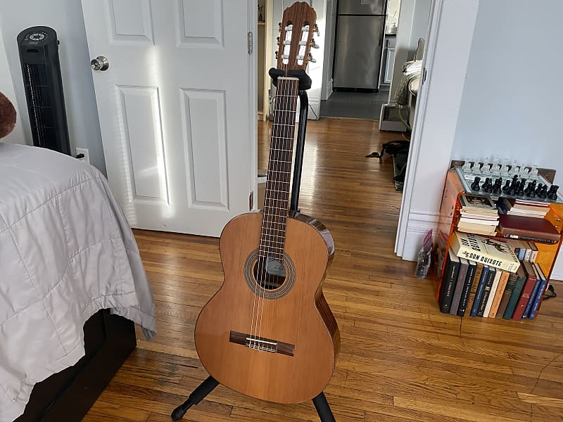 Kremona Soloist F65C 2010s | Reverb
