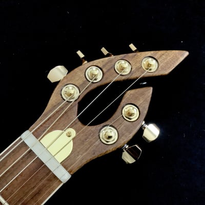 JD Guitars 2023 Neptune-6 image 5